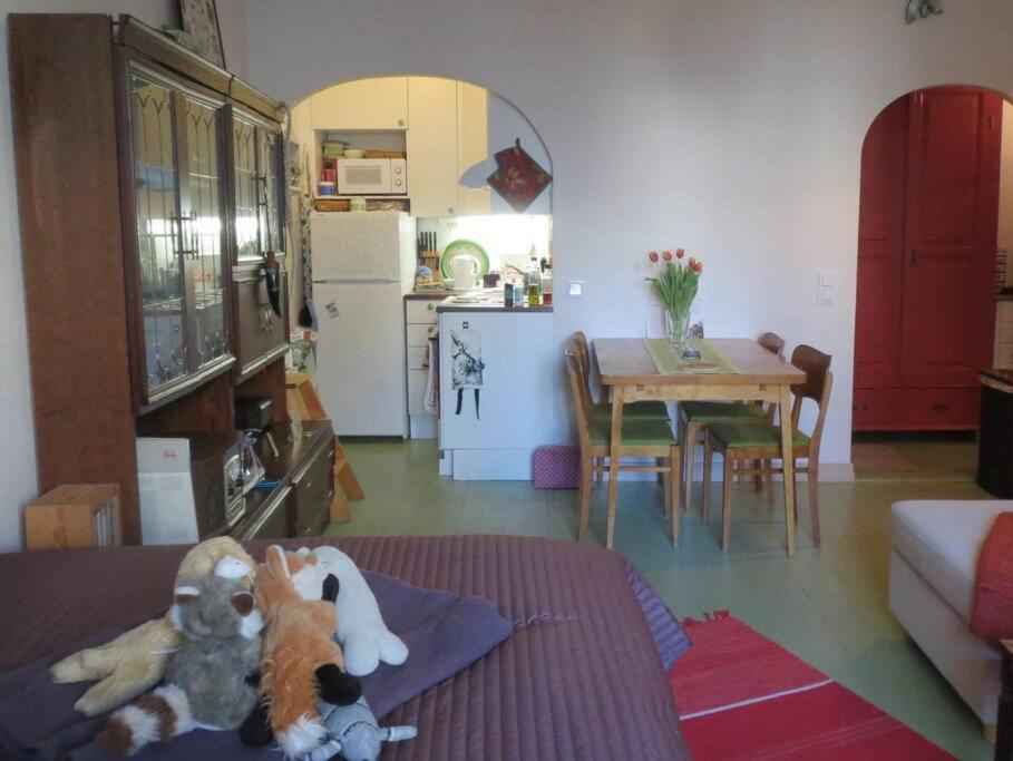 Apartment Cosy With Great Location